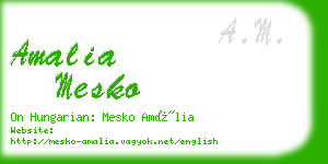 amalia mesko business card